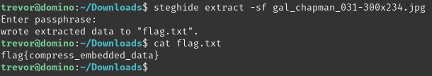 flag_busted.png